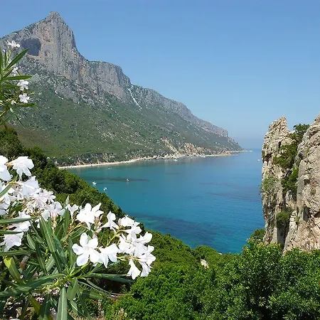 База отдыха Tancau Village Beach & Лотцораи